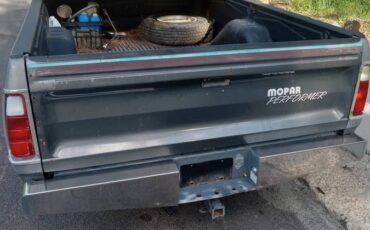 Dodge-truck-1975-grey-7