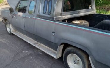 Dodge-truck-1975-grey-8