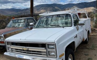 Dodge-w150-1989-3