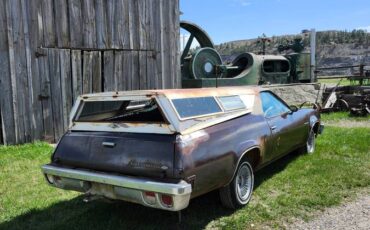 Elcamino-1973-brown-1