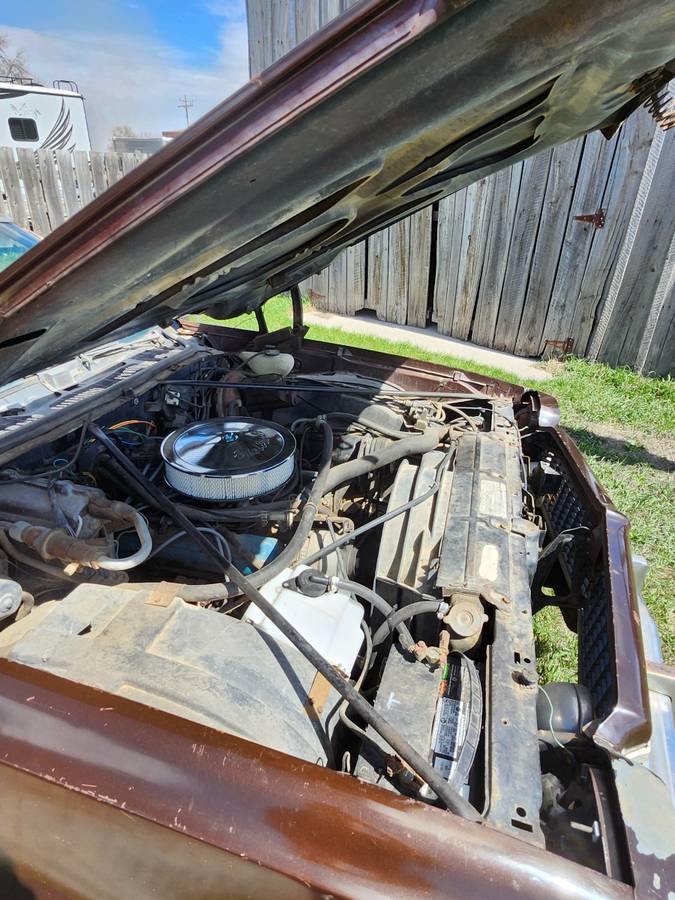 Elcamino-1973-brown-10