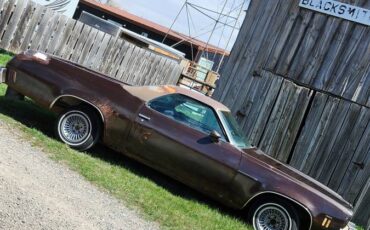 Elcamino-1973-brown-3