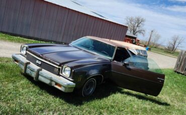 Elcamino-1973-brown