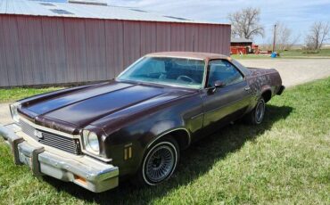 Elcamino-1973-brown-4