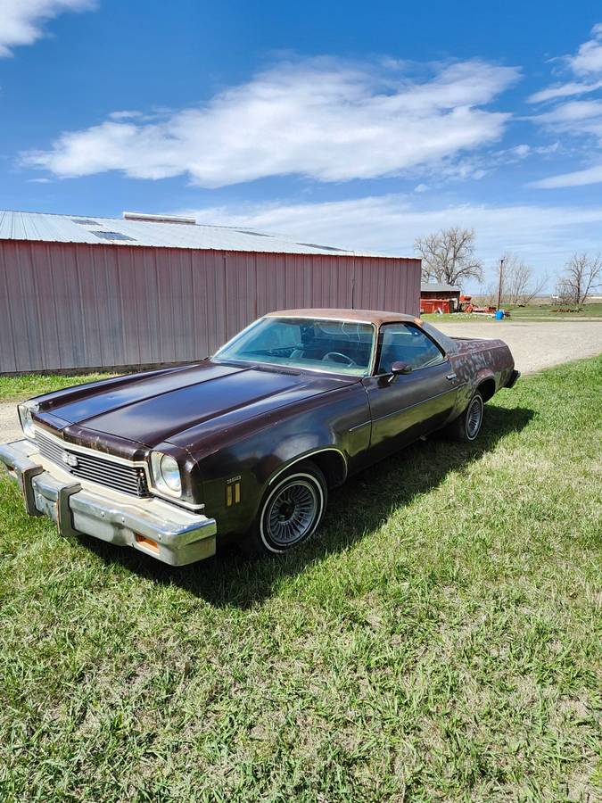 Elcamino-1973-brown-4