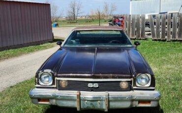 Elcamino-1973-brown-9