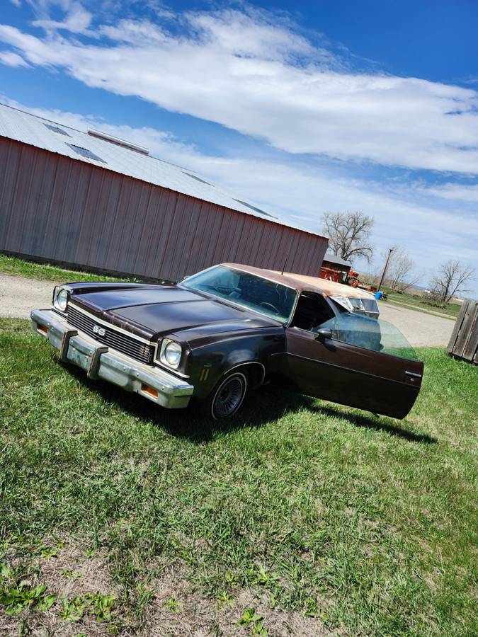 Elcamino-1973-brown