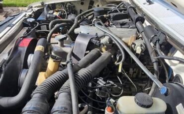 F-150-1994-white-1
