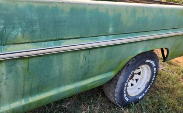 F100-1972-green-10