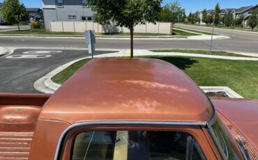 F100-1977-custom-10