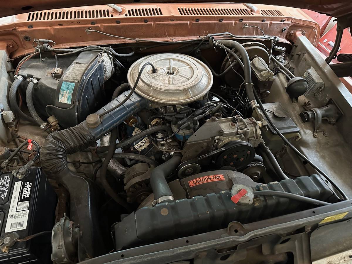 F100-1977-custom-13