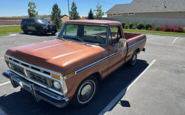F100-1977-custom