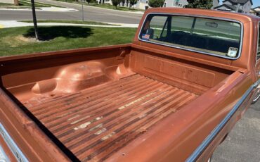 F100-1977-custom-6