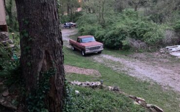 F150-ford-1979-brown-2