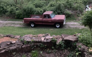 F150-ford-1979-brown-3