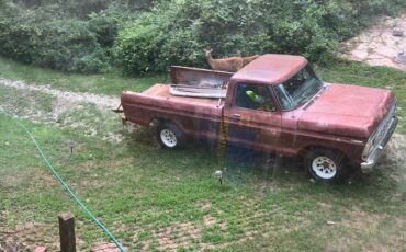 F150-ford-1979-brown-5