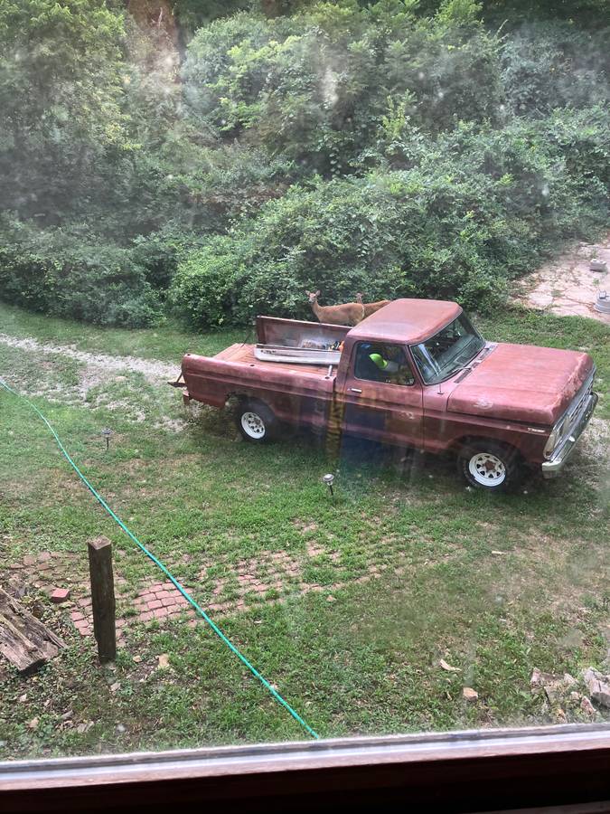 F150-ford-1979-brown-5