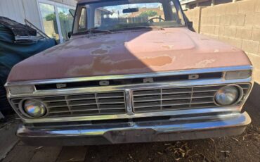 F250-1974-brown-11