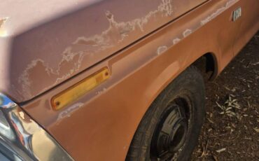 F250-1974-brown-12