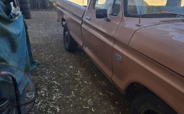 F250-1974-brown-13