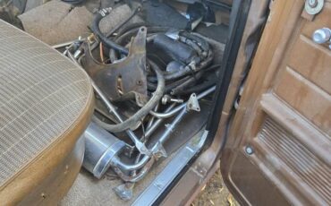 F250-1974-brown-14