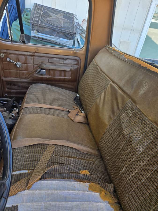 F250-1974-brown-18