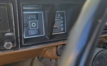 F250-1974-brown-20