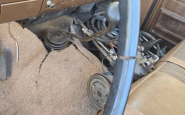 F250-1974-brown-21