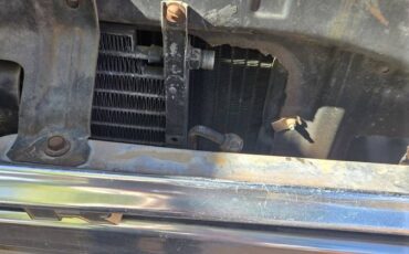 F250-1974-brown