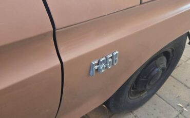 F250-1974-brown-5