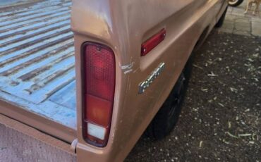 F250-1974-brown-7