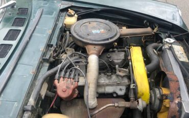 Fiat-124-1978-green-17