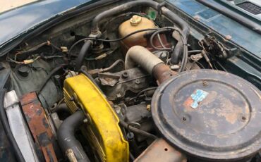 Fiat-124-1978-green-2