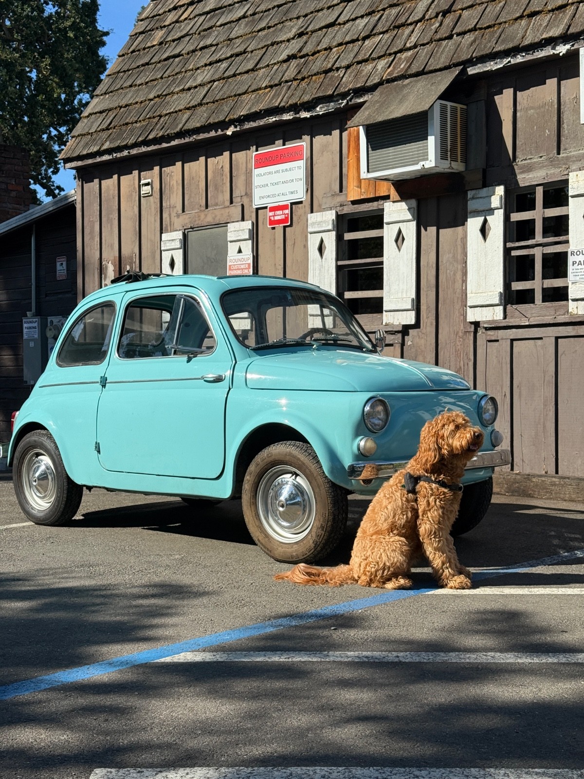 Fiat-500-1960-Coupe-1