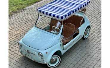 Fiat-500-1970-blue-brown-1