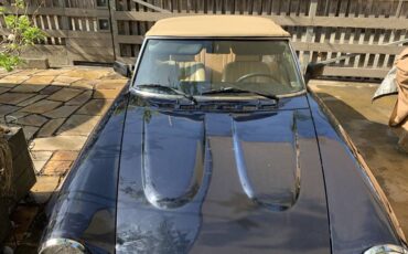 Fiat-spider-2000-1979-blue-1