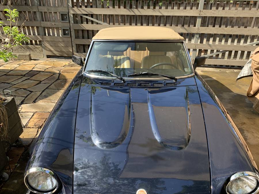 Fiat-spider-2000-1979-blue-1