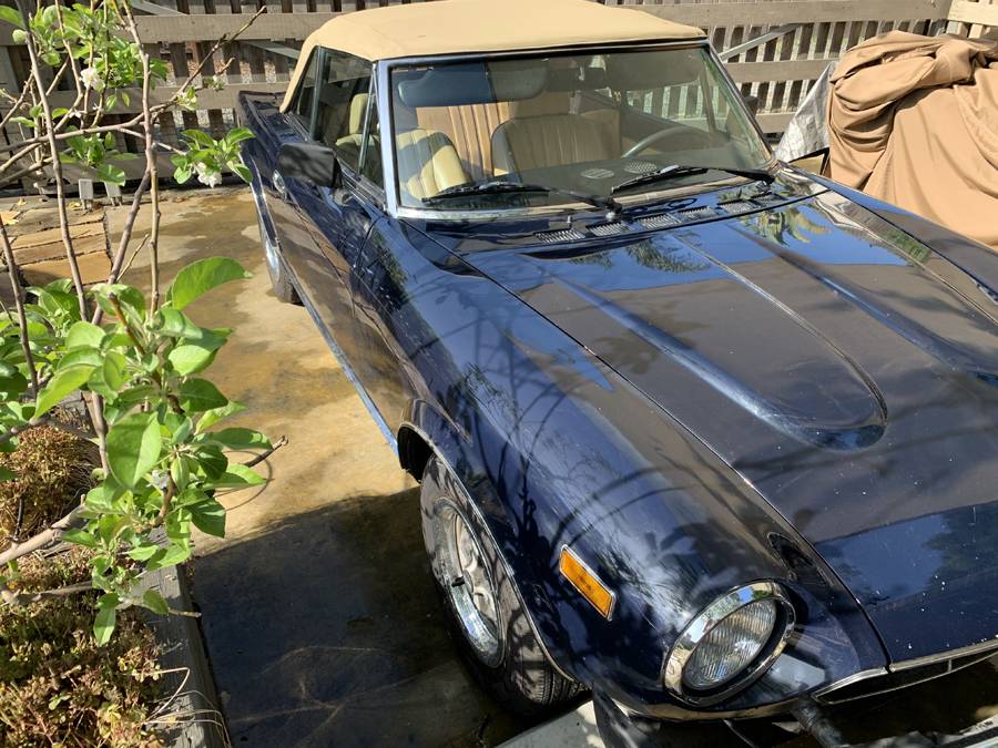 Fiat-spider-2000-1979-blue-5