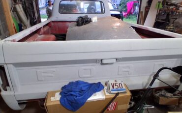 Fird-f100-1965-grey-3