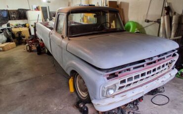 Fird-f100-1965-grey
