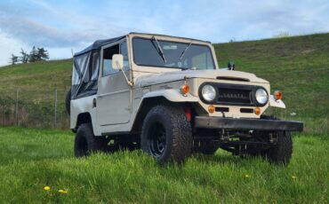 Fj40-1966-brown