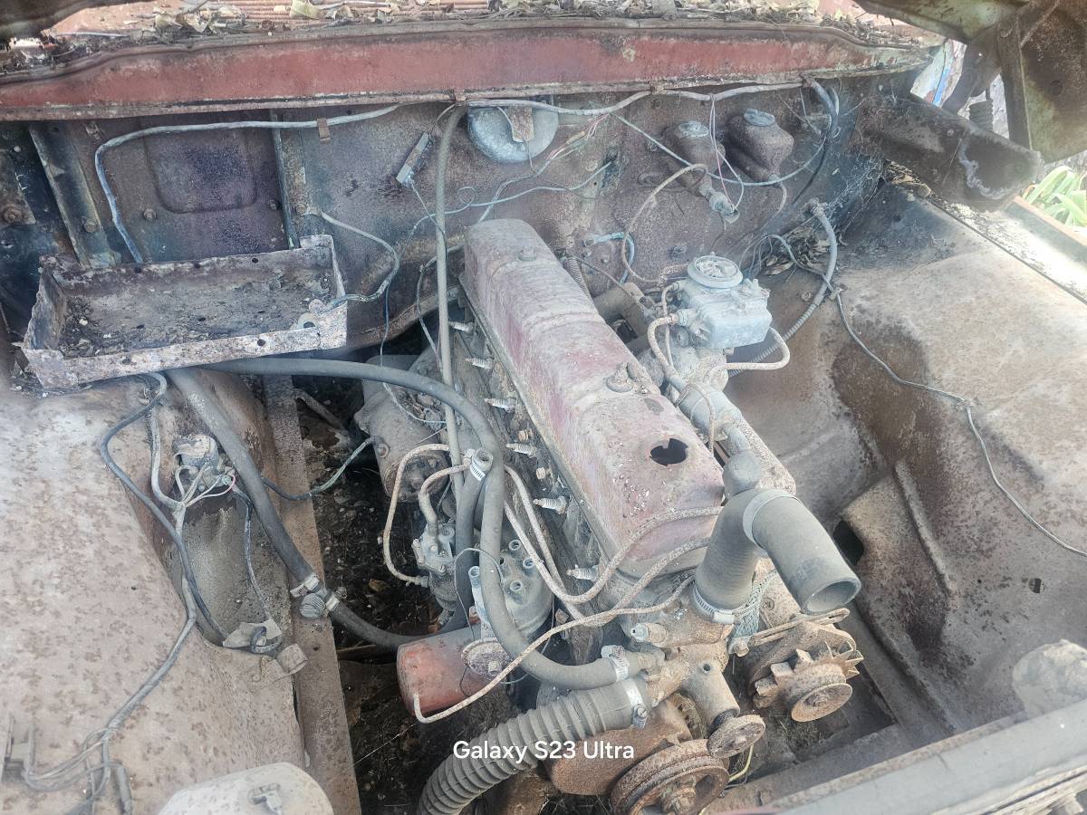 Fod-f100-1959-red-5