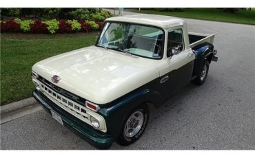 Ford-100-1965-TRUCK-8