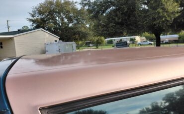 Ford-12-Ton-Pickup-1995-Crew-Cab-Pickup-6