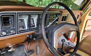 Ford-12-ton-pickup-1978-Tan-and-black-tan-11