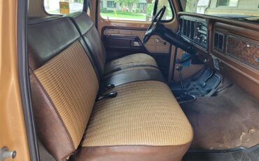Ford-12-ton-pickup-1978-Tan-and-black-tan-13