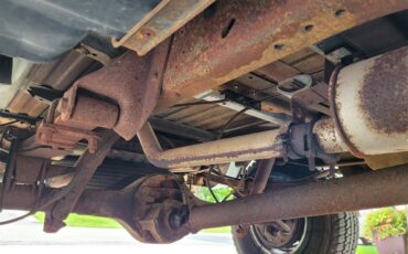Ford-12-ton-pickup-1978-Tan-and-black-tan-16
