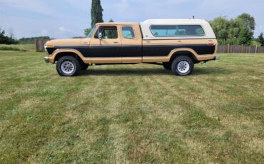 Ford-12-ton-pickup-1978-Tan-and-black-tan-20