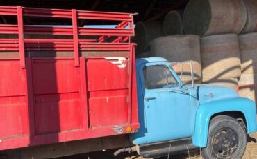 Ford-1955-blue-1