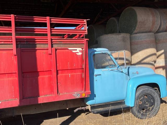 Ford-1955-blue-1